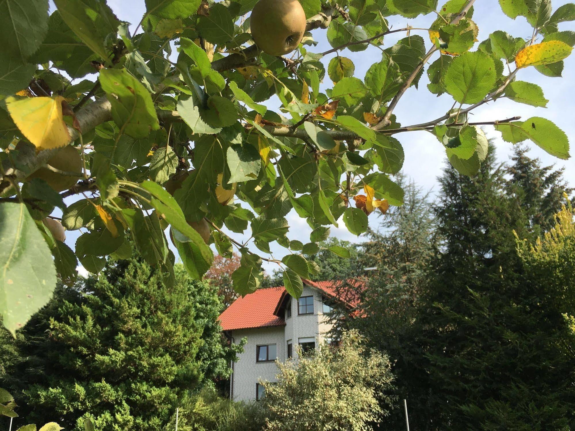 Landhaus Hotel Goeke Хёфельхоф Экстерьер фото